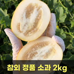 [품질보장] 참외 정품 소과 2kg / 무료배송