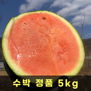 [품질보장] 꿀 수박 정품 5kg / 무료배송