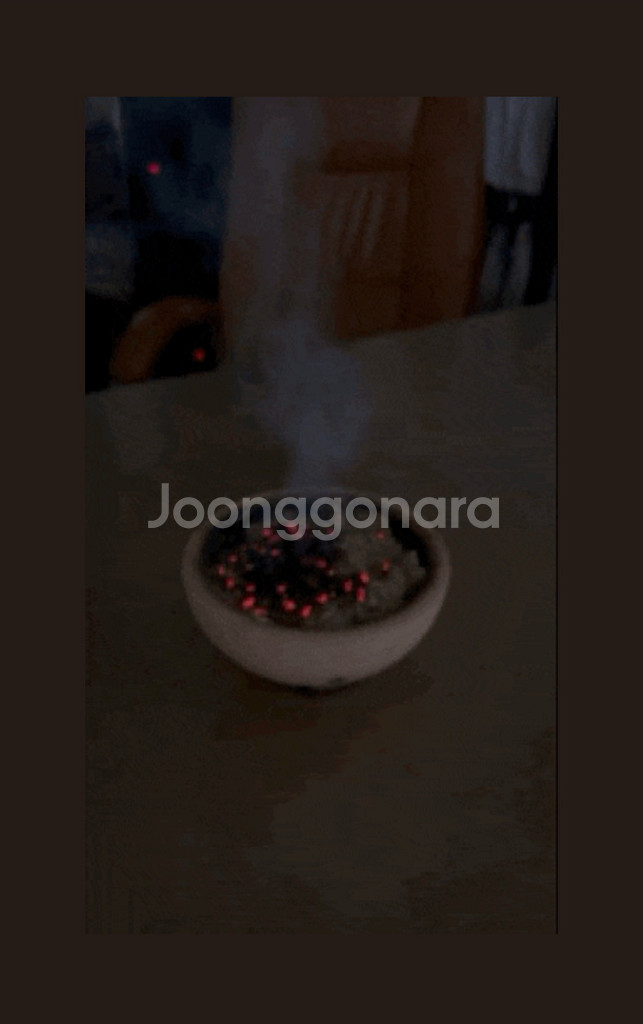쇼파 쑥 편백 자동 자훈기--6