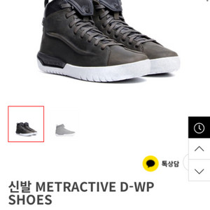 다이네즈 METRACTIVE D-WP SHOES 43