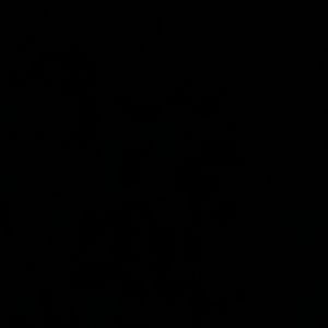 프로비스 m9 phrobis