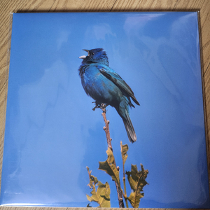 윤지영 BLUE BIRD LP(미개봉)