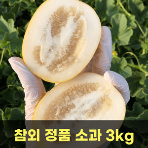 [품질보장] 참외 정품 소과 3kg / 무료배송