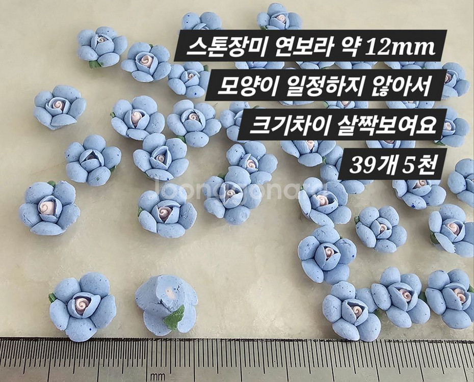 스톤장미 연보라 39개 일괄--1