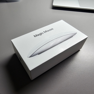 Apple Magic Mouse 2세대 팝니다.
