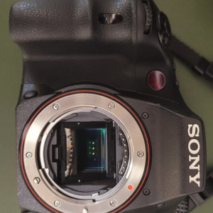 소니 카메라 DSLT A77,A65판매