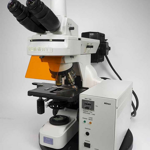 니콘 형광현미경 E400FL
