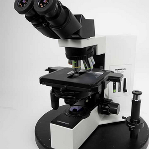 올림푸스 생물현미경 BX40