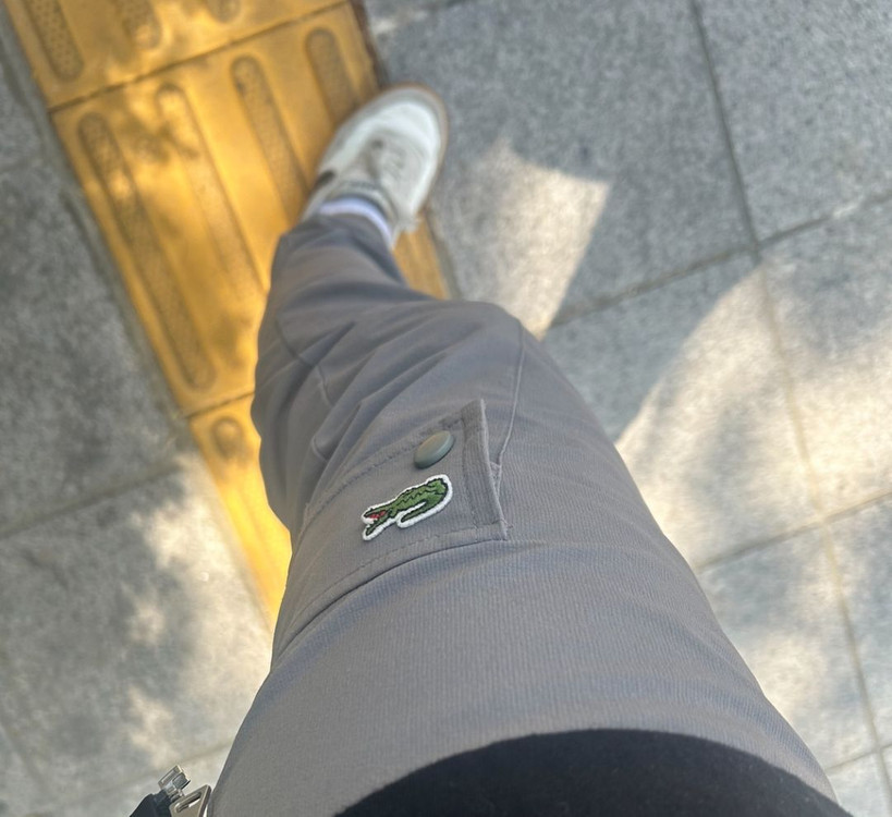 라코스테 악어모양 와펜 이미지