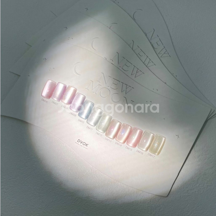 디보크 뉴문 자석젤12종 (네일/새상품)--2