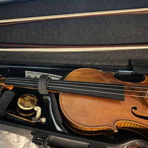 프랑스 올드 바이올린 풀세트 저렴히 팝니다.