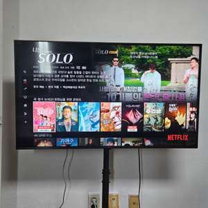 LG43인치 TV
