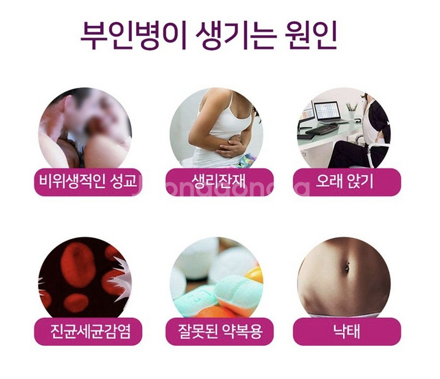 여성 y존케어 이너젤 5ea X 5--1