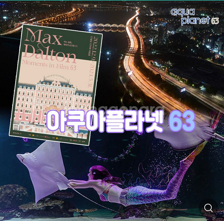 여의도 63빌딩 아쿠아리움(아쿠아플라넷63) + 전시--4