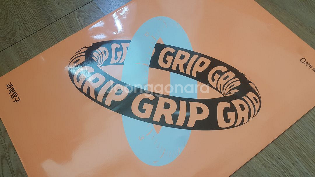 대성학원 GRIP 모의고사 0회 물리학 화학 생명 지구--4