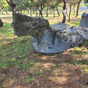 자연석 조경석 조경