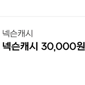넥슨캐시30000원
