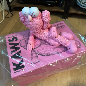 kaws 카우스 피규어