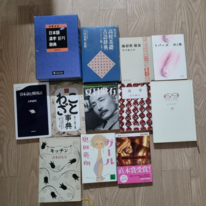 일본어 사전 일본소설 일본 인문학 서적 팔아요