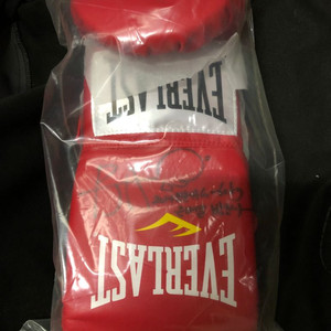 에버라스트 복싱글러브