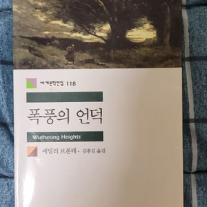 소설 폭풍의 언덕