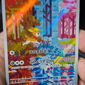 포켓몬카드 일본판 사철록 AR S급