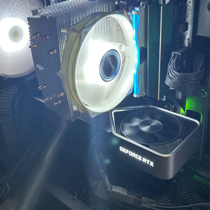 rtx3080 FE