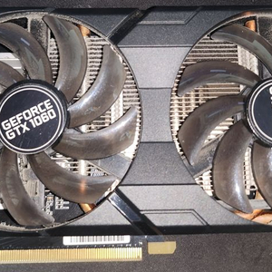 게인워드 1060 6g