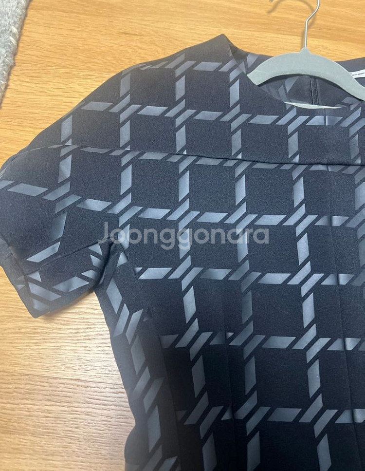 T Alexander Wang--2