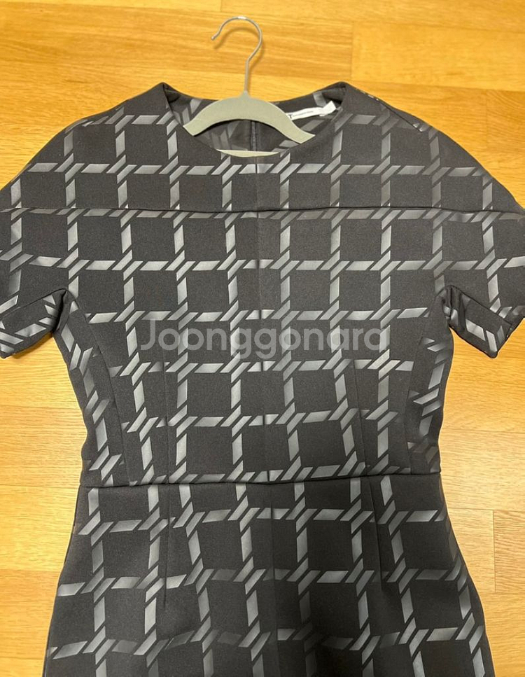 T Alexander Wang--1