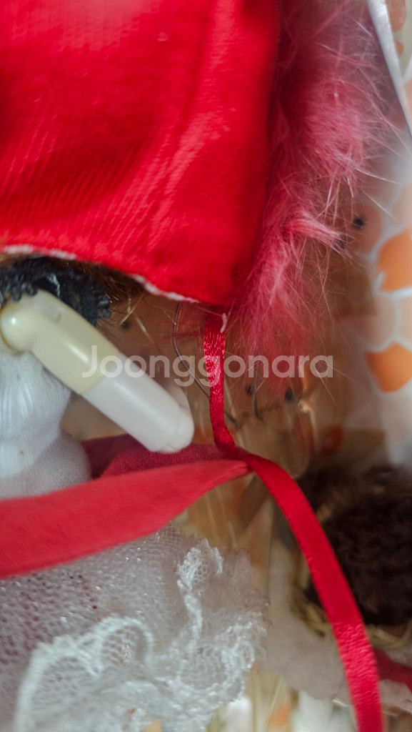 달돌 롯트짱 롯짱 로트짱 Rotchan--4
