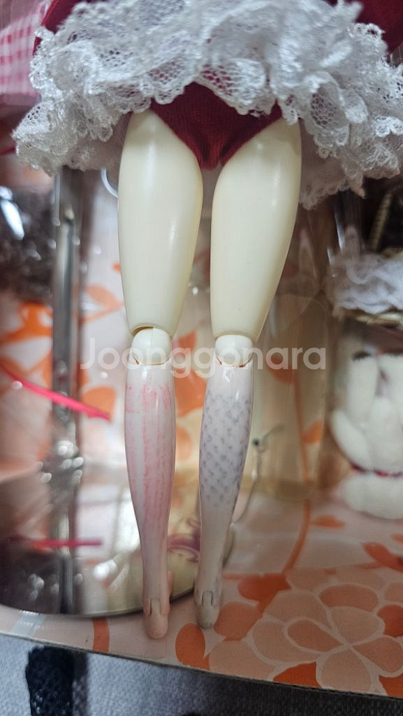 달돌 롯트짱 롯짱 로트짱 Rotchan--5
