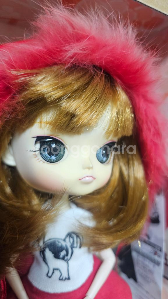 달돌 롯트짱 롯짱 로트짱 Rotchan--3
