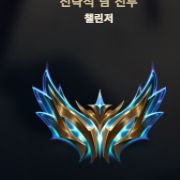 롤토체스 TFT 티어성형