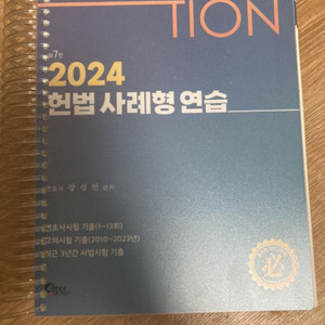 2024 헌법 사례형 연습