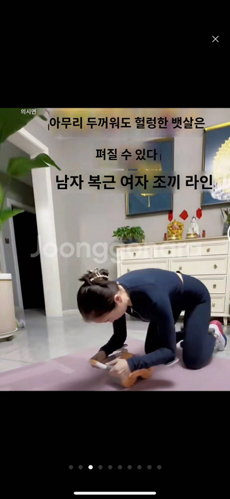 새-건복륜자동반발 복근륜 팔꿈치받침반발 복부수척 복부마--7