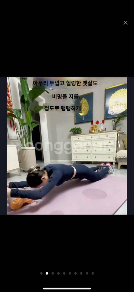 새-건복륜자동반발 복근륜 팔꿈치받침반발 복부수척 복부마--6