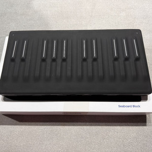 Roli seaboard Block 씨보드 블락 팝니다