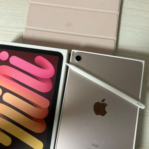 아이패드 미니6 64GB 와이파이 핑크