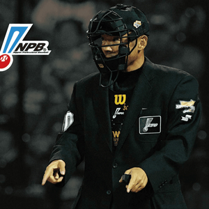 윌슨 Wilson 심판 마스크 NPB 모델 판매합니다