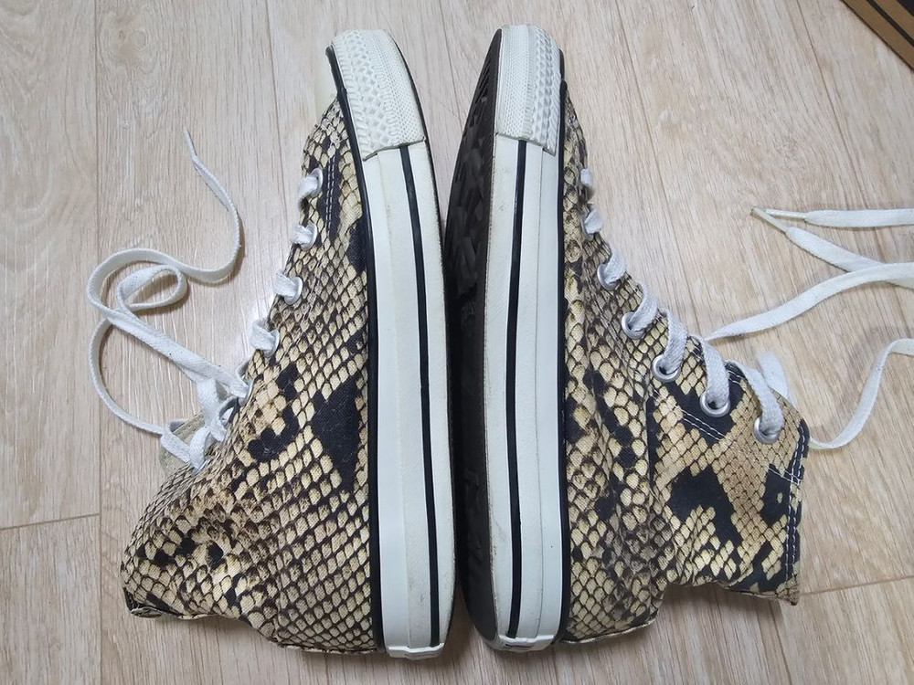 뱀피컨버스 240--1