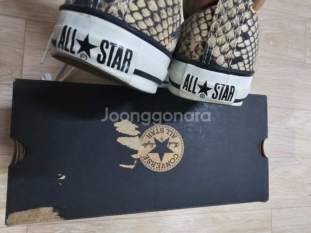 뱀피컨버스 240--4