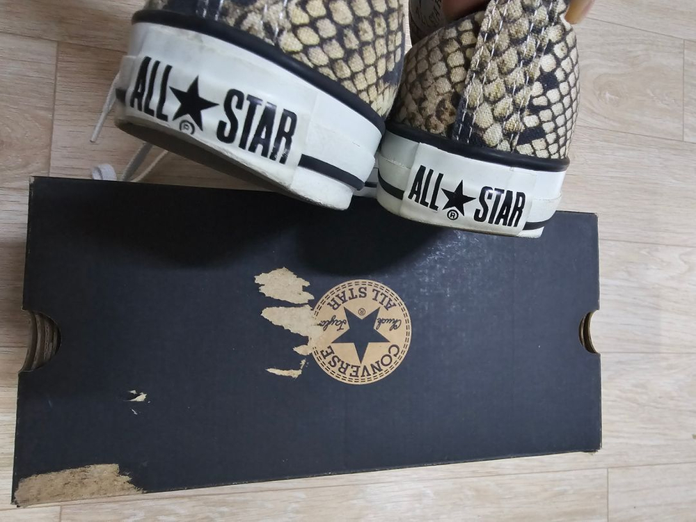 뱀피컨버스 240--4