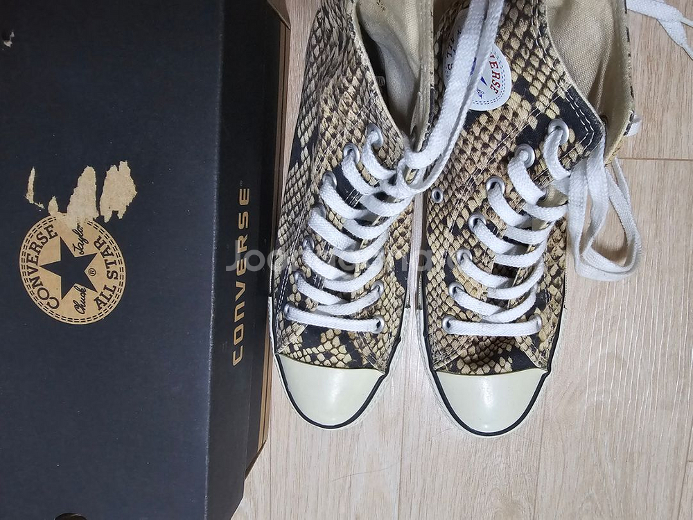 뱀피컨버스 240--5