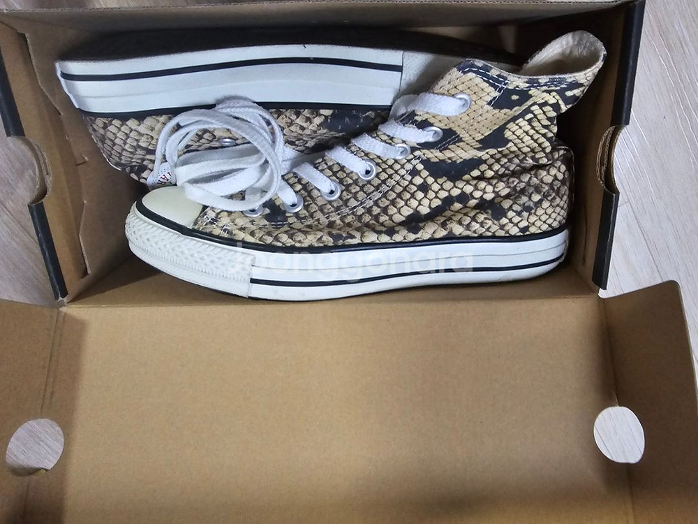 뱀피컨버스 240--6