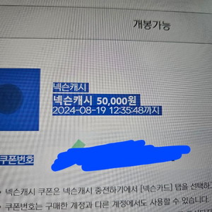 넥슨캐시5만원권