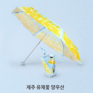 스타벅스 제주 한정 유채꽃 양산 우산