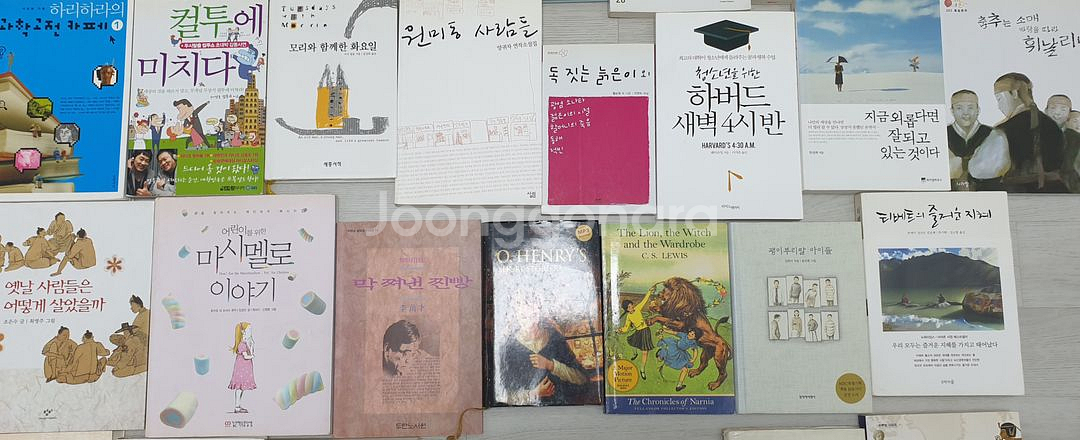 소설. 인문. 교양외 기타 도서--4
