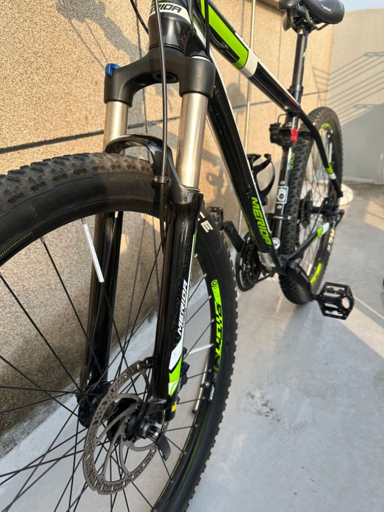 메리다 빅세븐 300--2