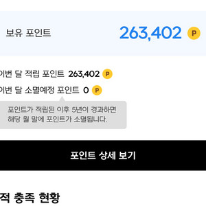넥슨캐쉬 26만캐쉬->23만원 (88.4%)